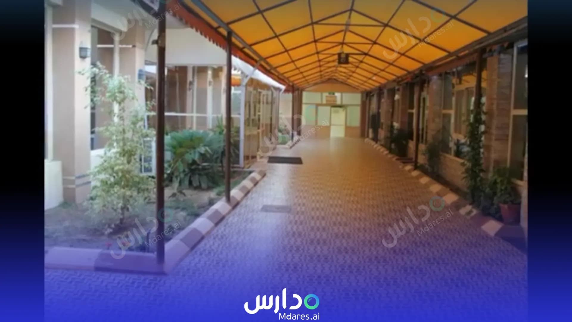 منهج Safwat Al Fursan National School Taif
