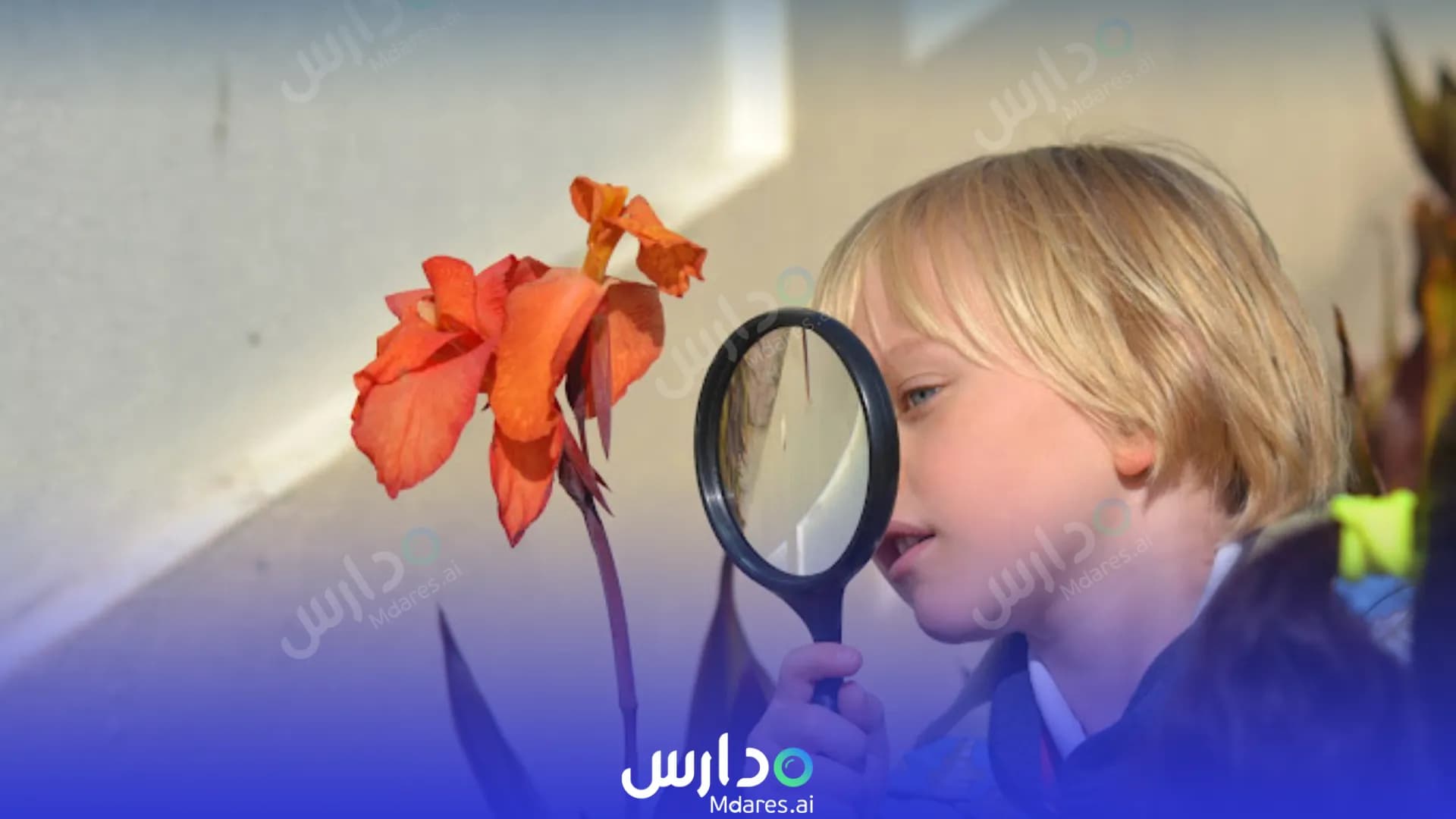 مواعيد Alwataniya International School Doha