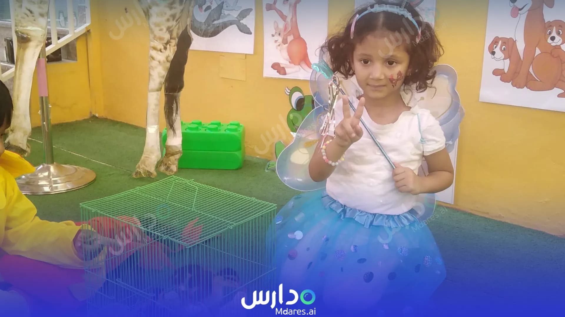 رسوم حضانة طيور الجنة الدوحة