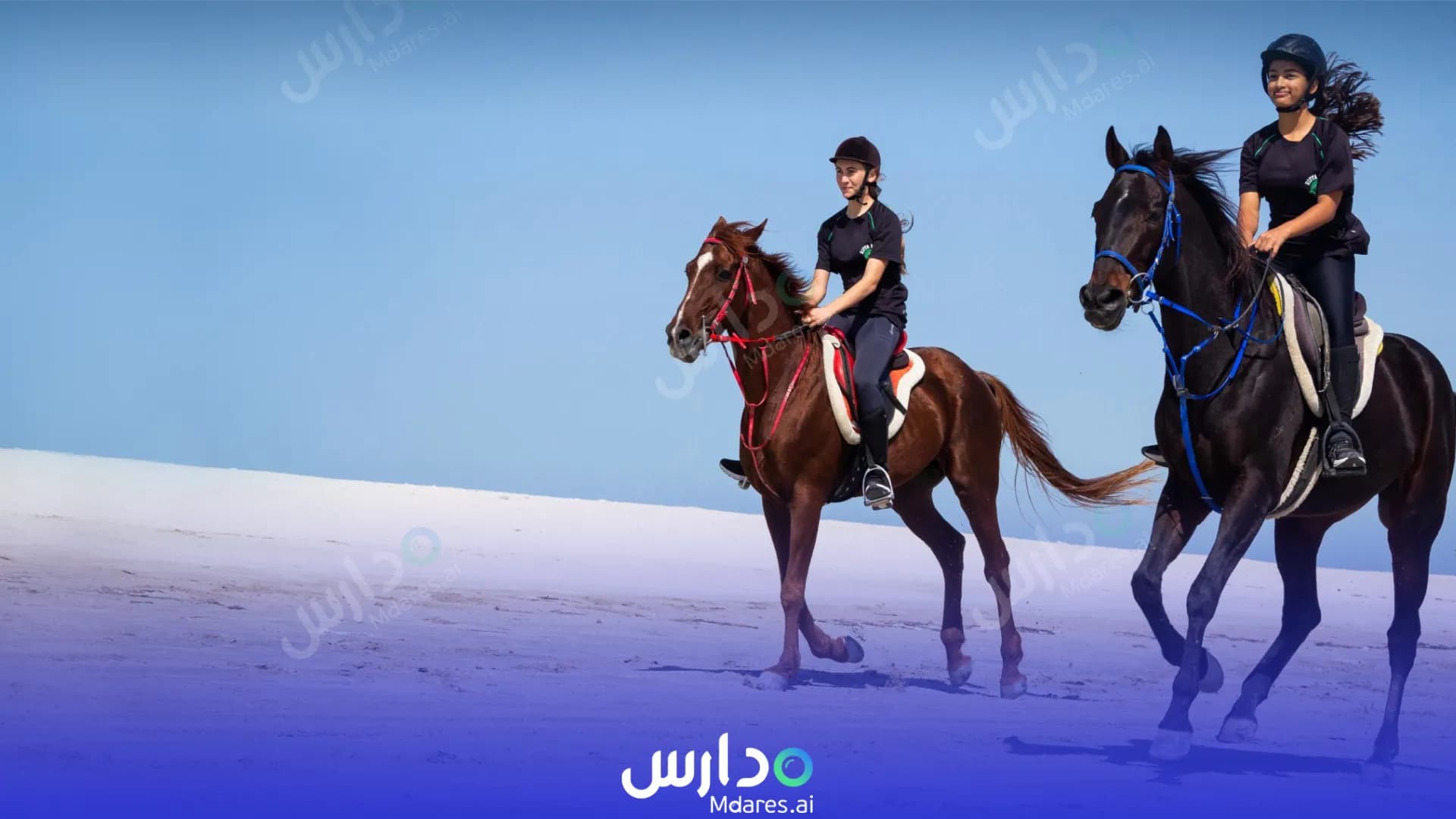 منهج Riffa Views International Schools Southern Governorate