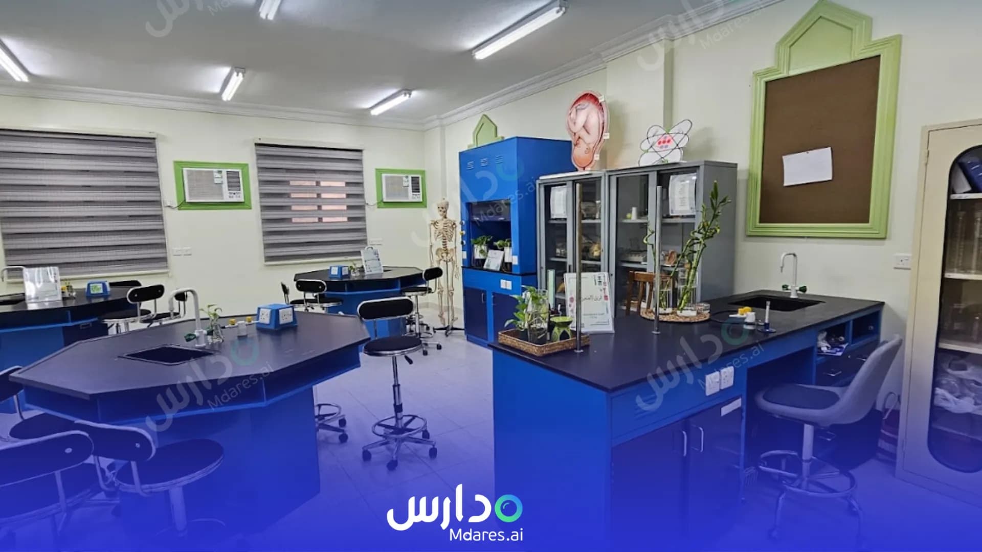 مواعيد Al Aser International Model Schools Tabuk