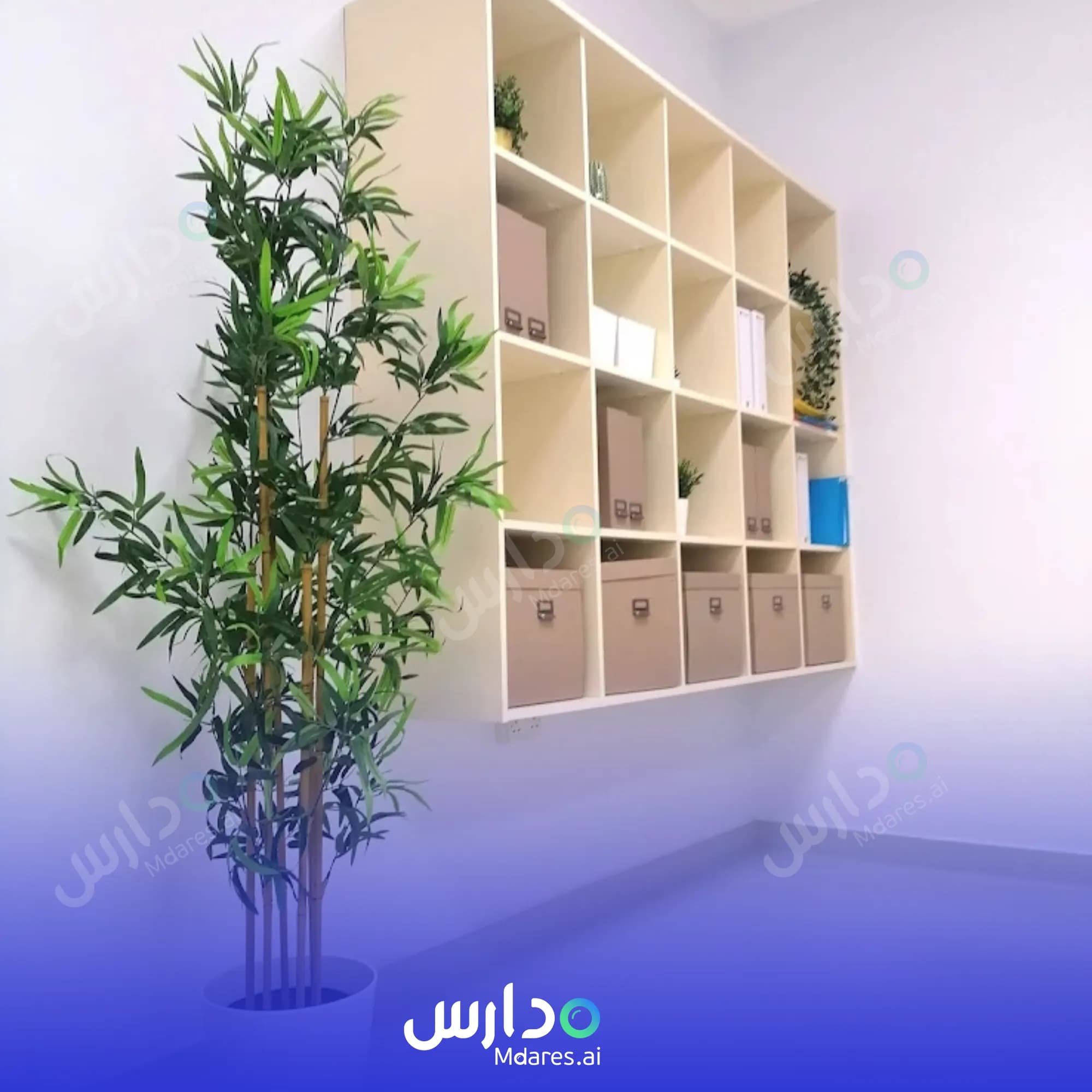 رسوم Assafwah International School Muscat