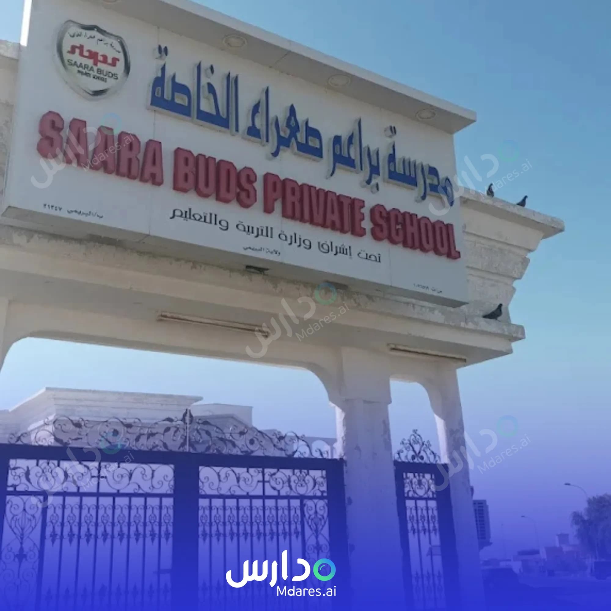 مواعيد Saraa Buds Private School Al Buraimi