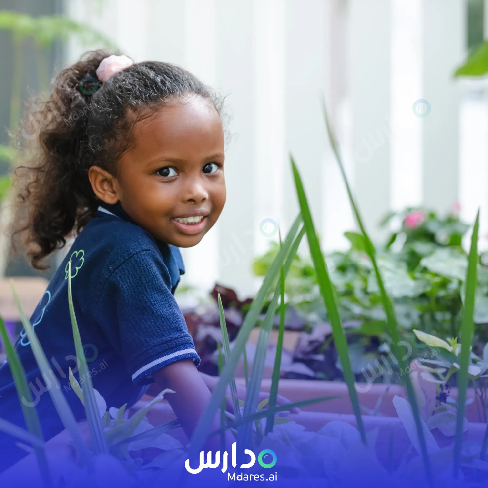 موقع Blossom Nursery Abu Dhabi