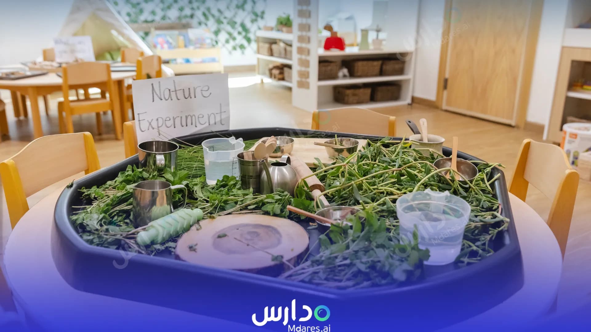 رسوم Blossom Nursery Abu Dhabi