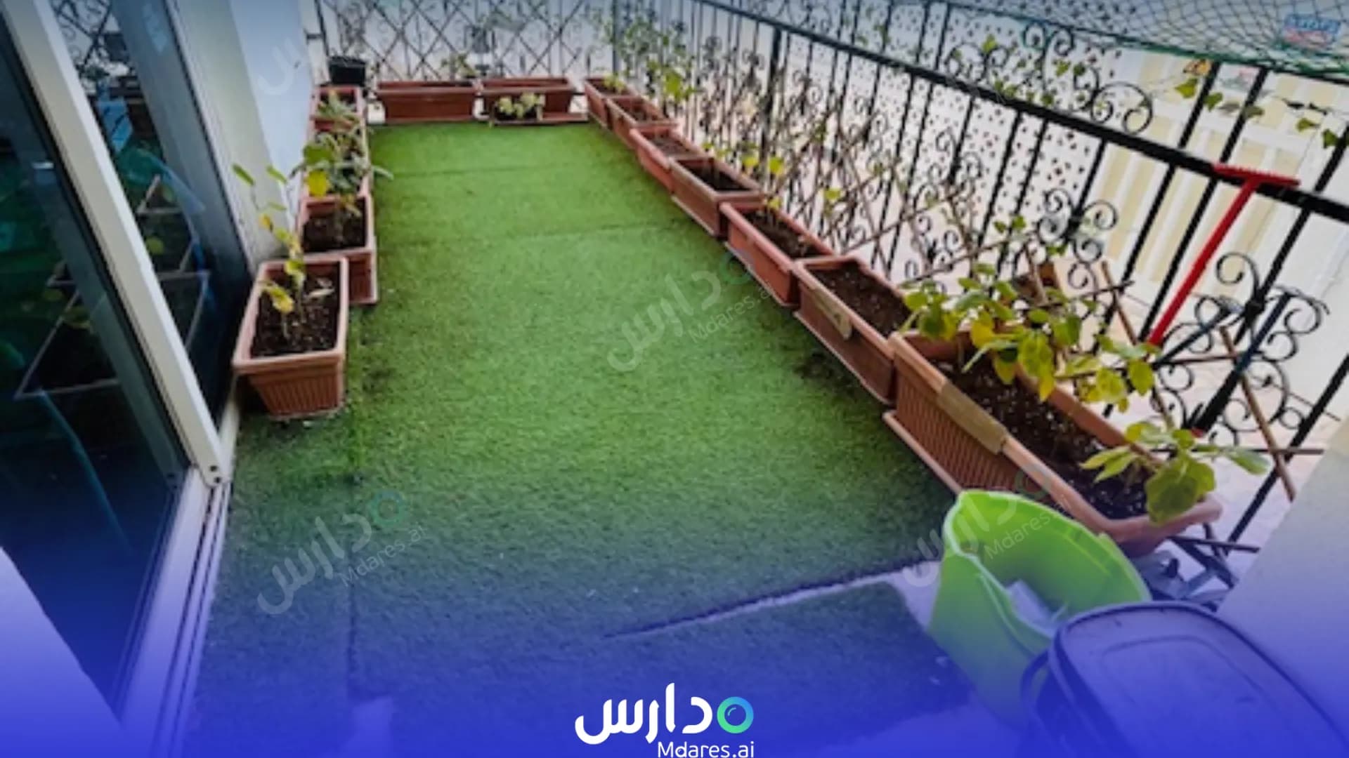 موقع Falcon British Nursery Abu Dhabi