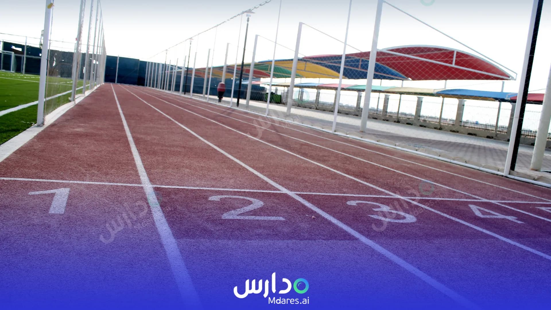 رسوم مدرسة راين انترناشونال أبوظبي