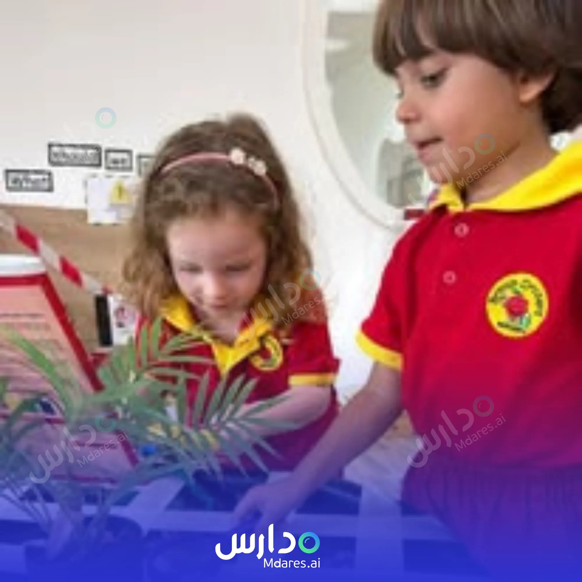 منهج British Orchard Nursery Dubai