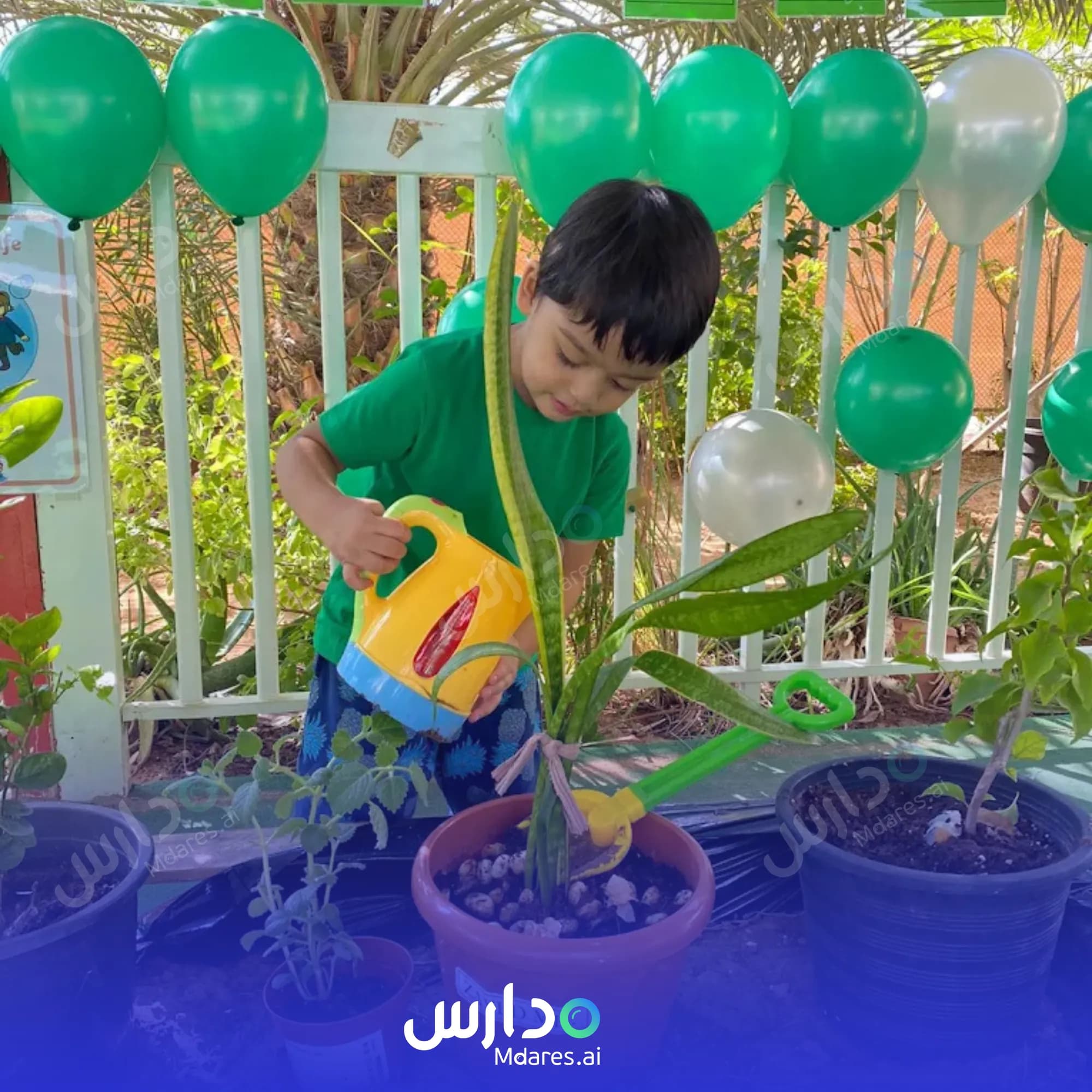 عنوان Noah's Ark Nursery Abu Dhabi