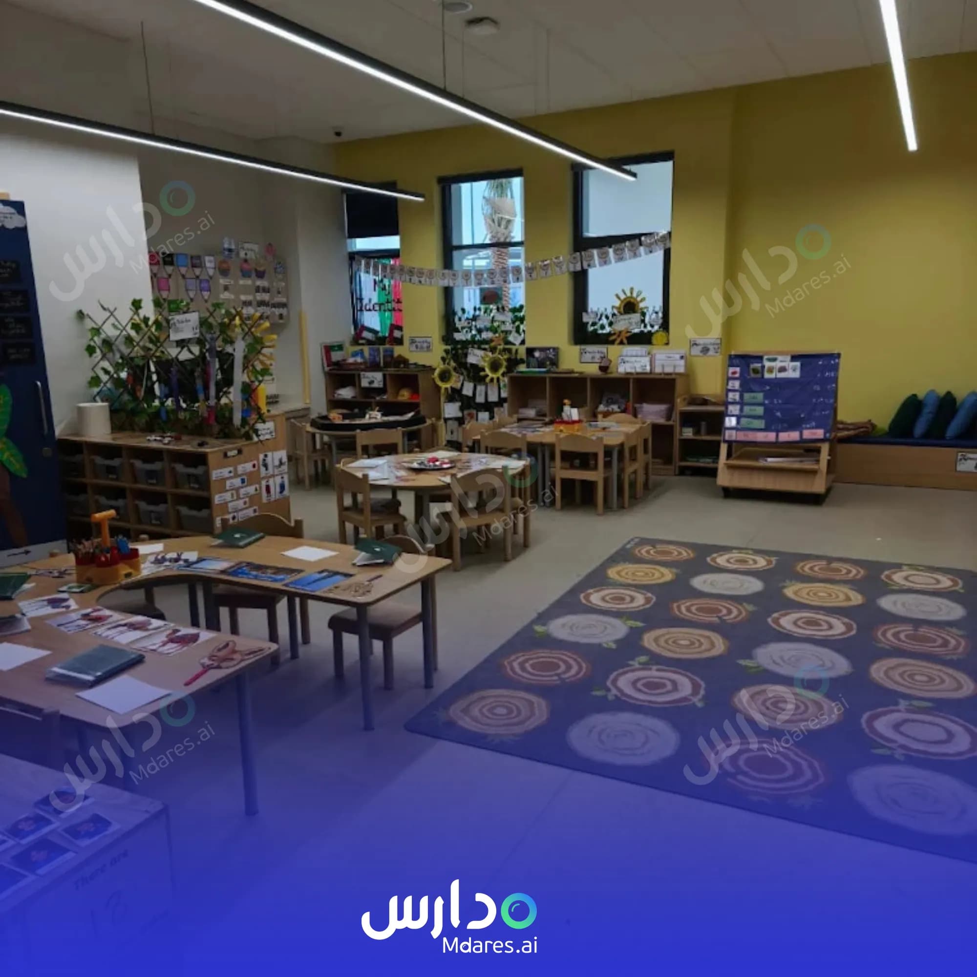 رسوم Noya British School Abu Dhabi