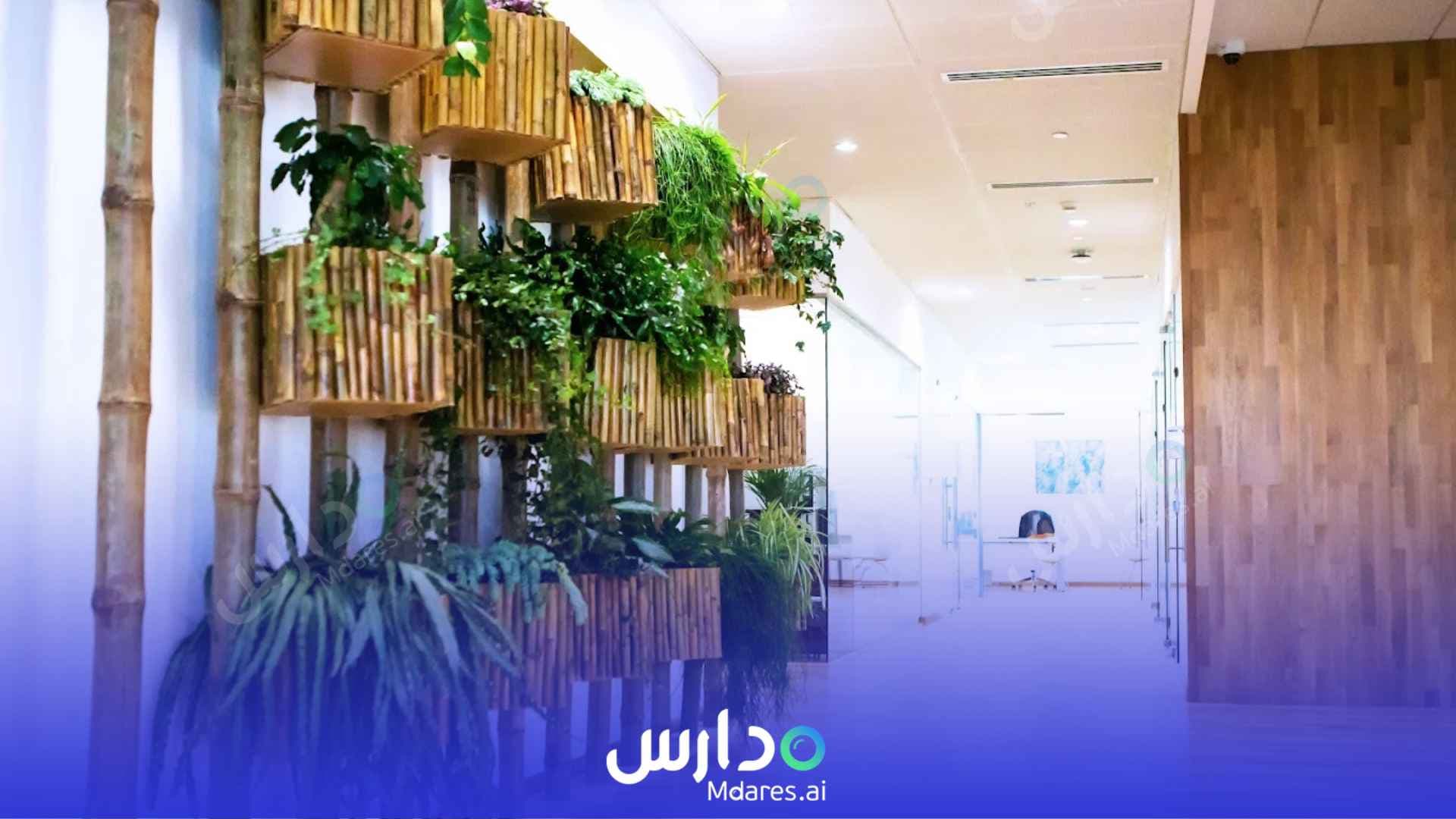 موقع Safa British School Dubai