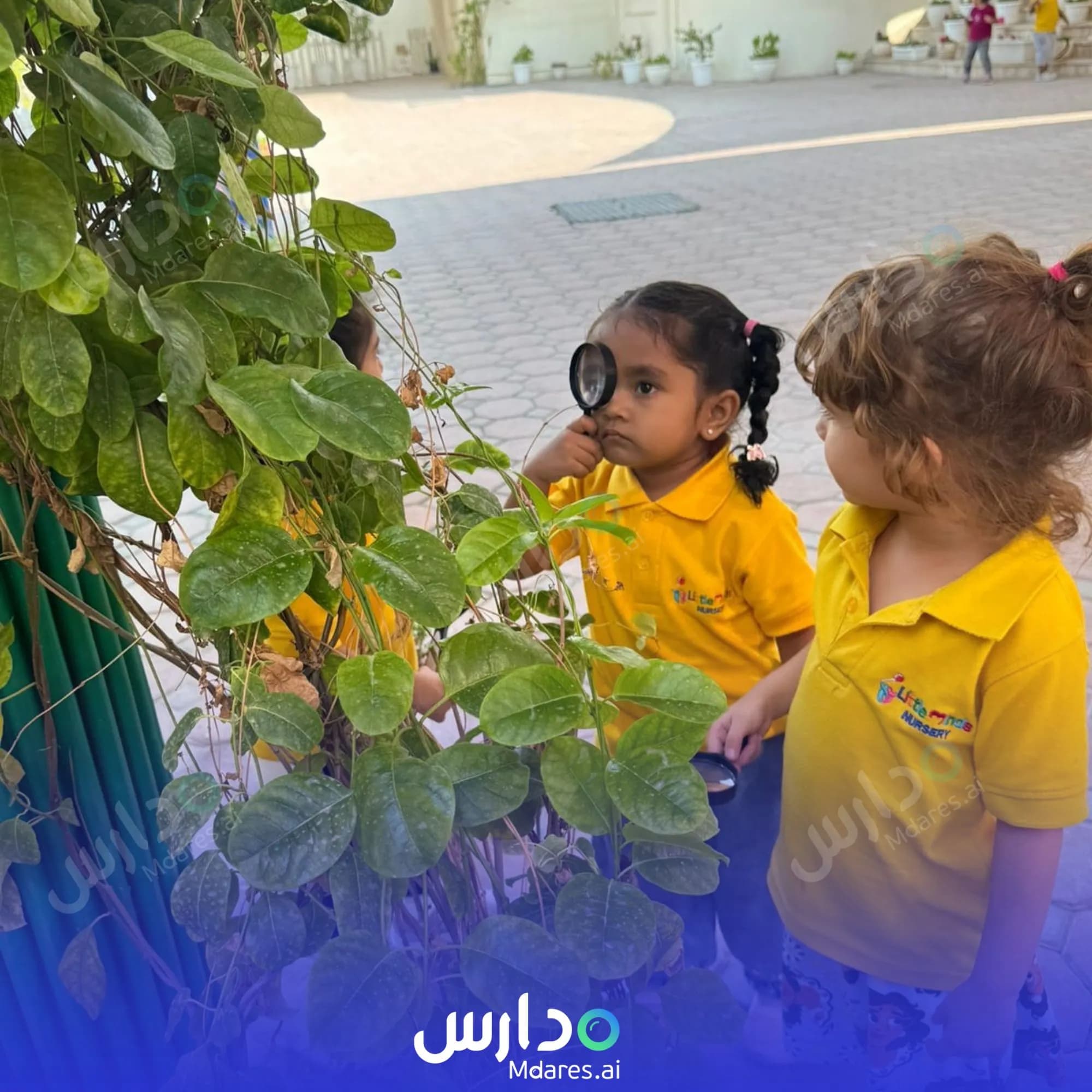 رسوم Little Minds Nursery Dubai