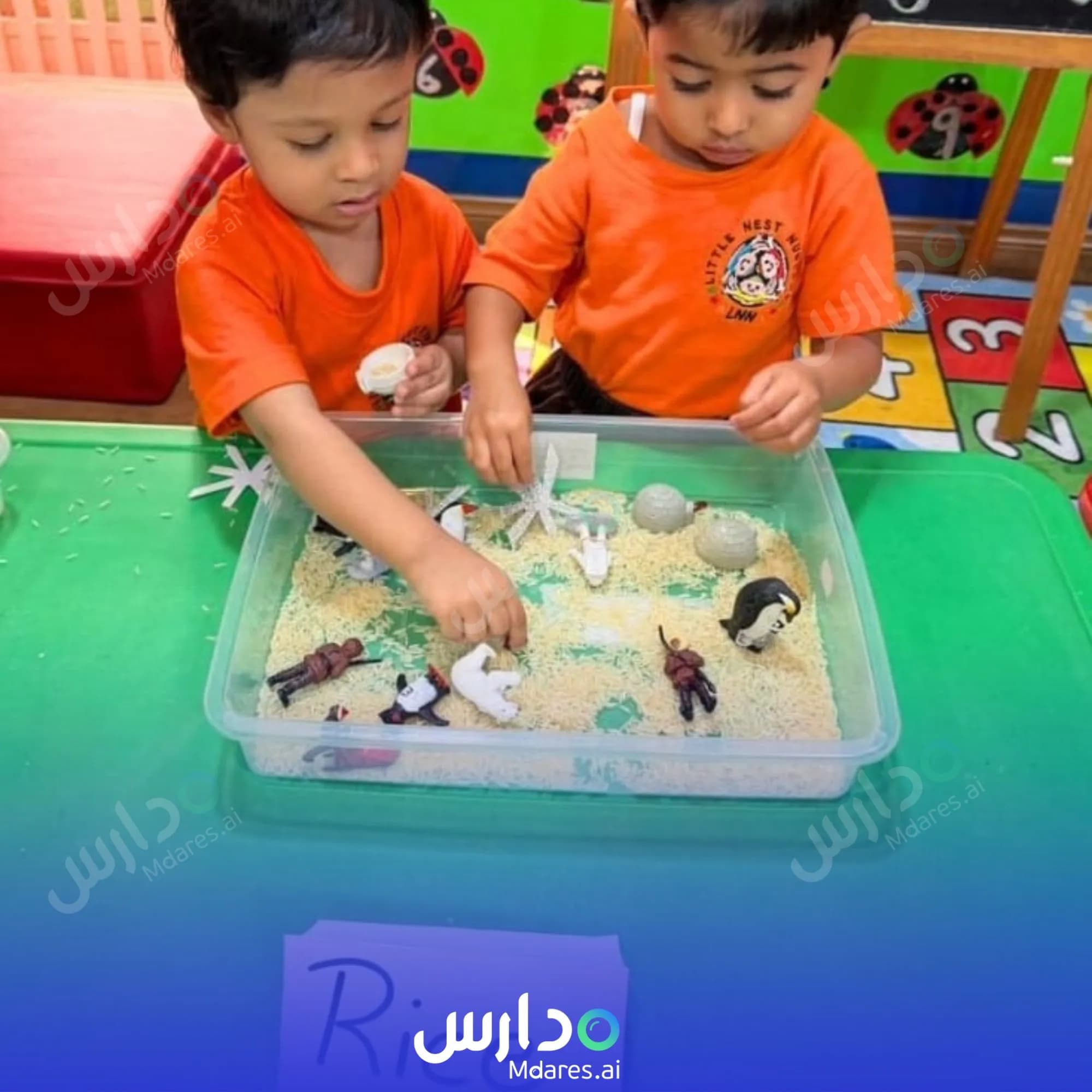 منهج Little Nest Nursery Dubai