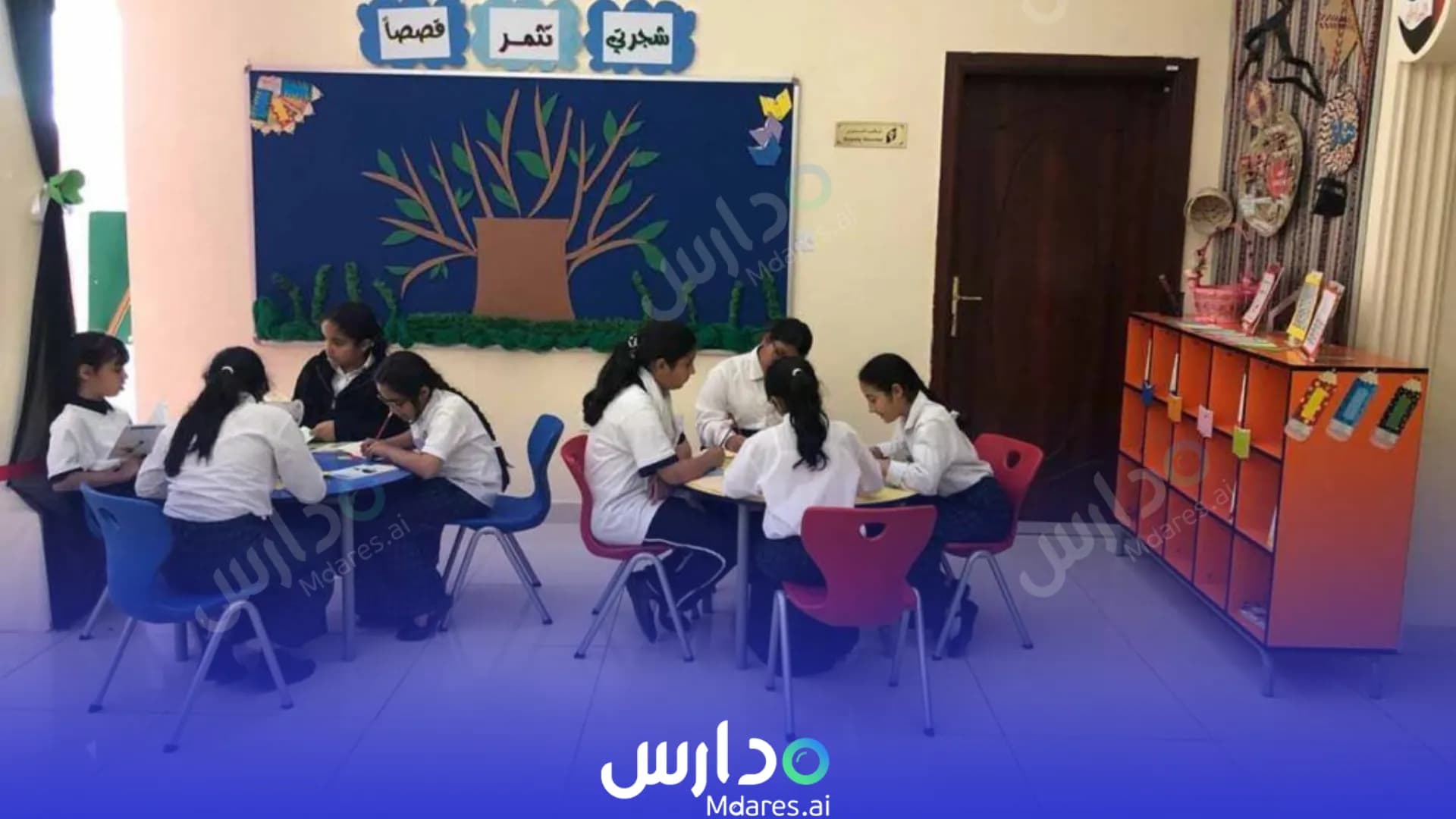 رسوم Abu Dhabi Island International Private School Abu Dhabi