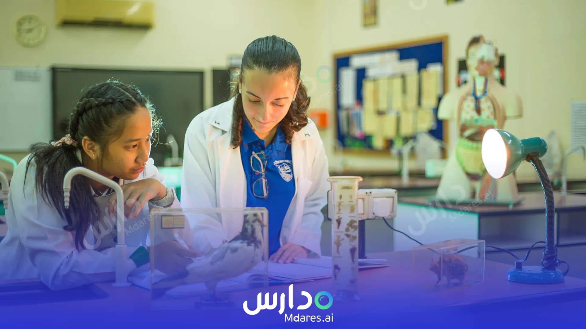 موقع Royal Private English School Fujairah
