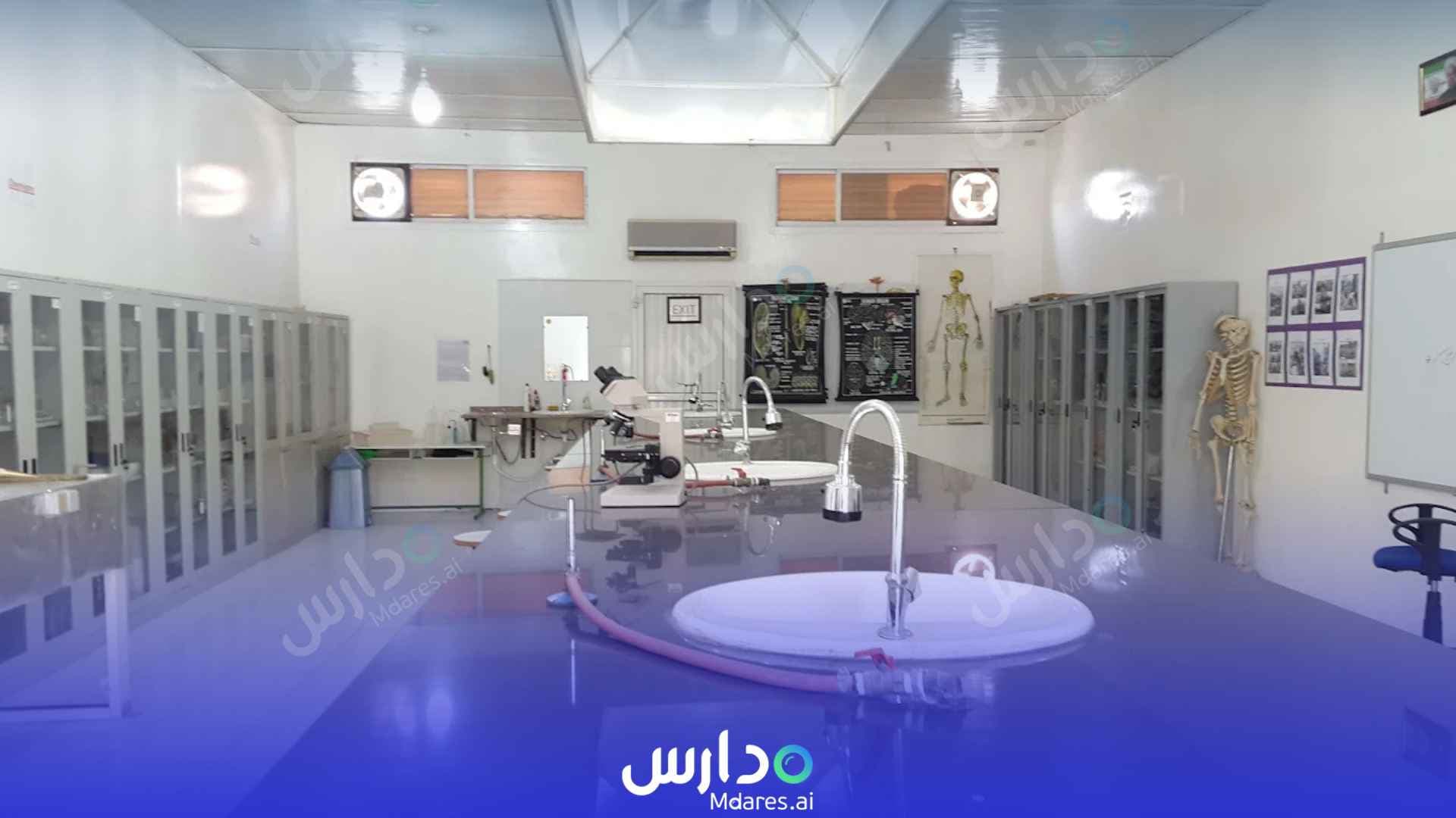 رسوم Salman Farsi Iranian Boys School Dubai