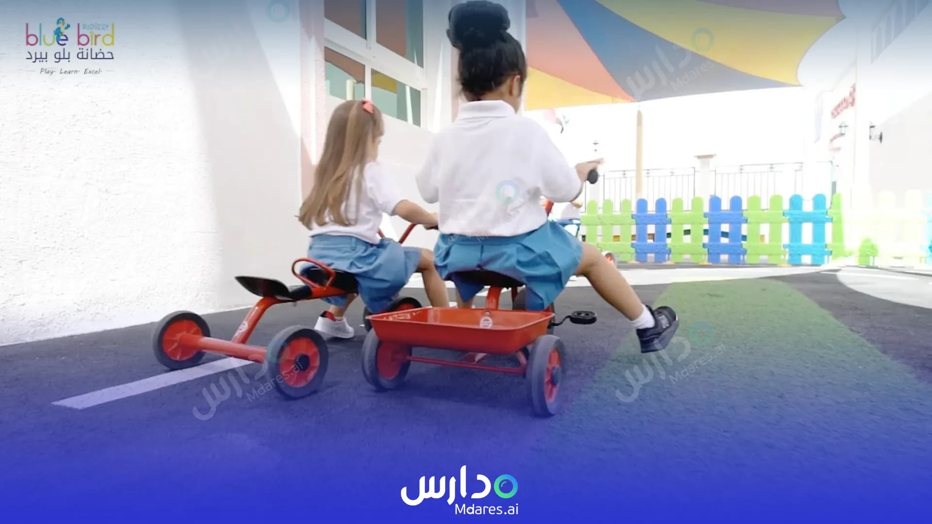 موقع Blue Bird Nursery Dubai
