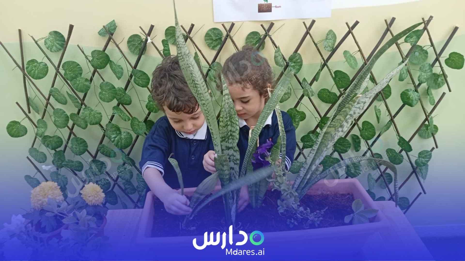 منهج Rising Stars Nursery UAE Sharjah