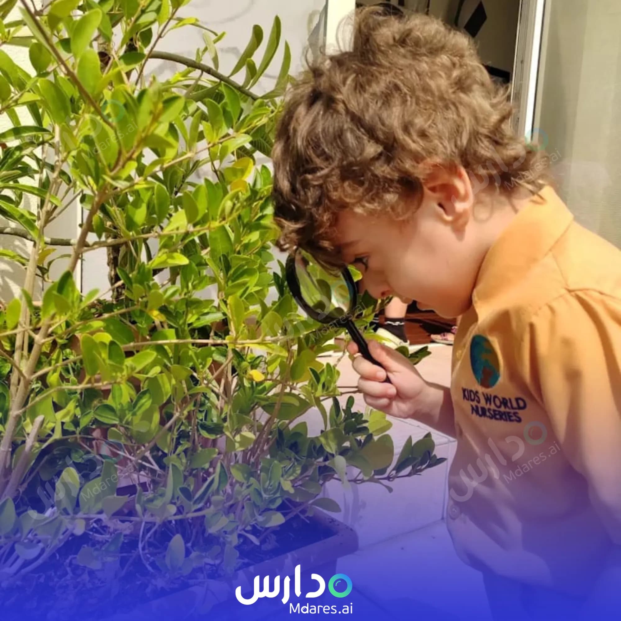 عنوان Roots Montessori Nursery Dubai