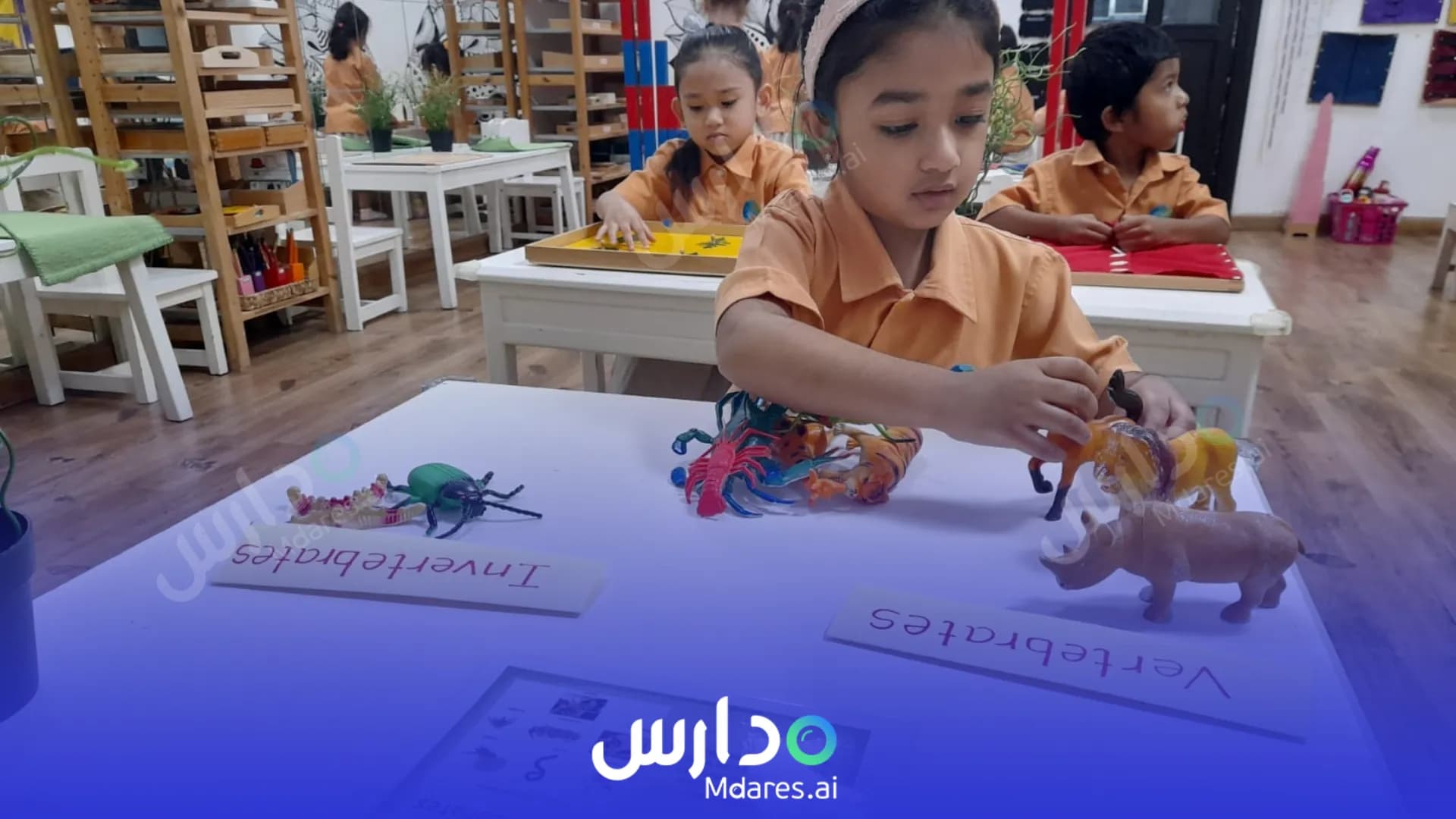 موقع Roots Montessori Nursery Dubai