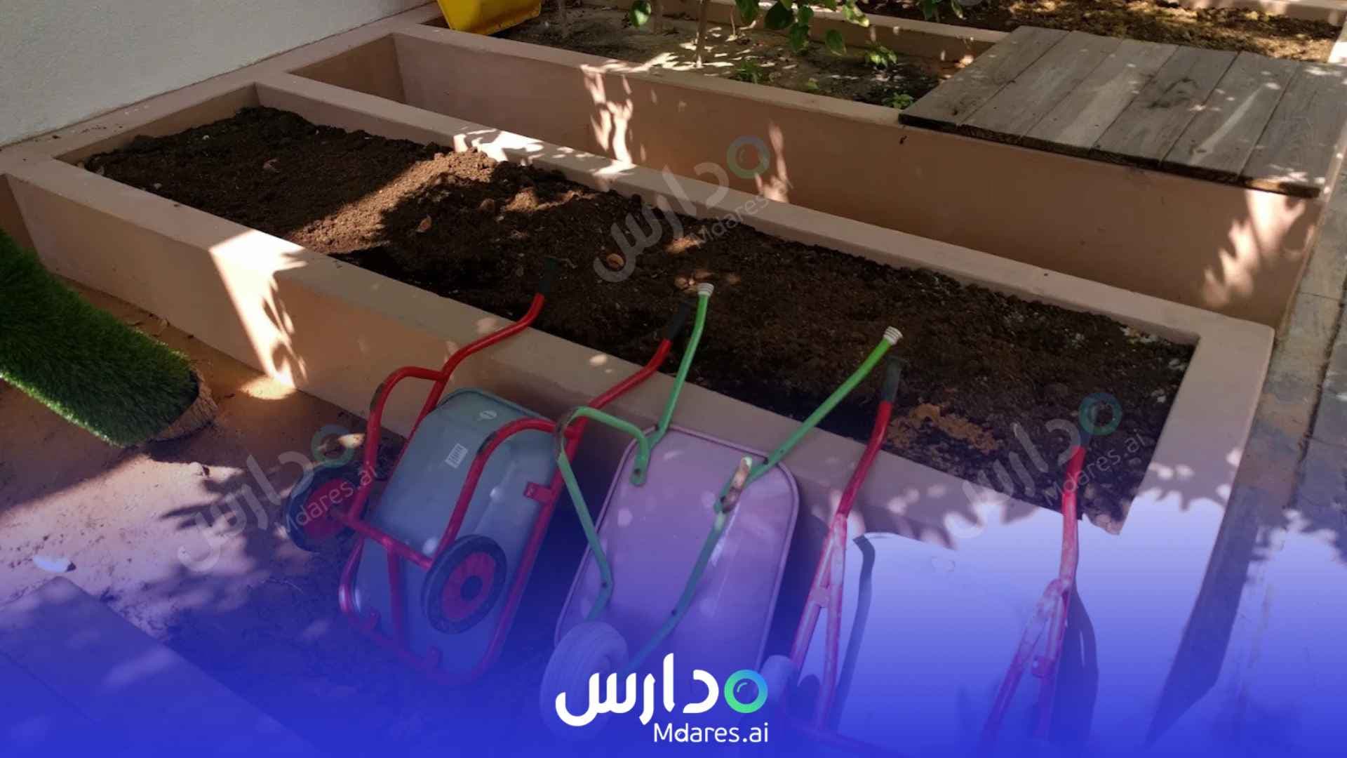 مواعيد Children’s Oasis Nursery - Best British Nursery Dubai Dubai