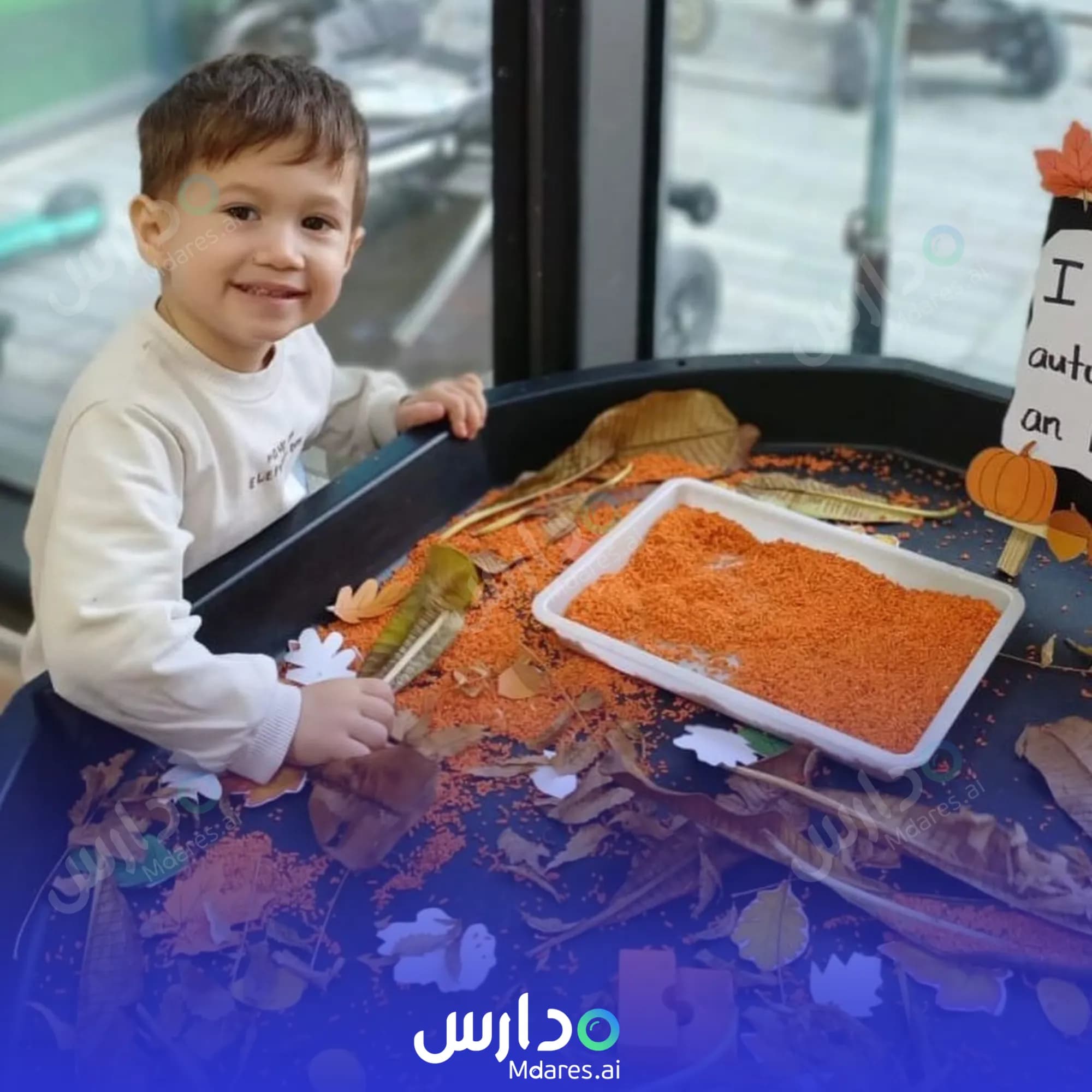 مواعيد Treetops Nursery IMPZ Dubai