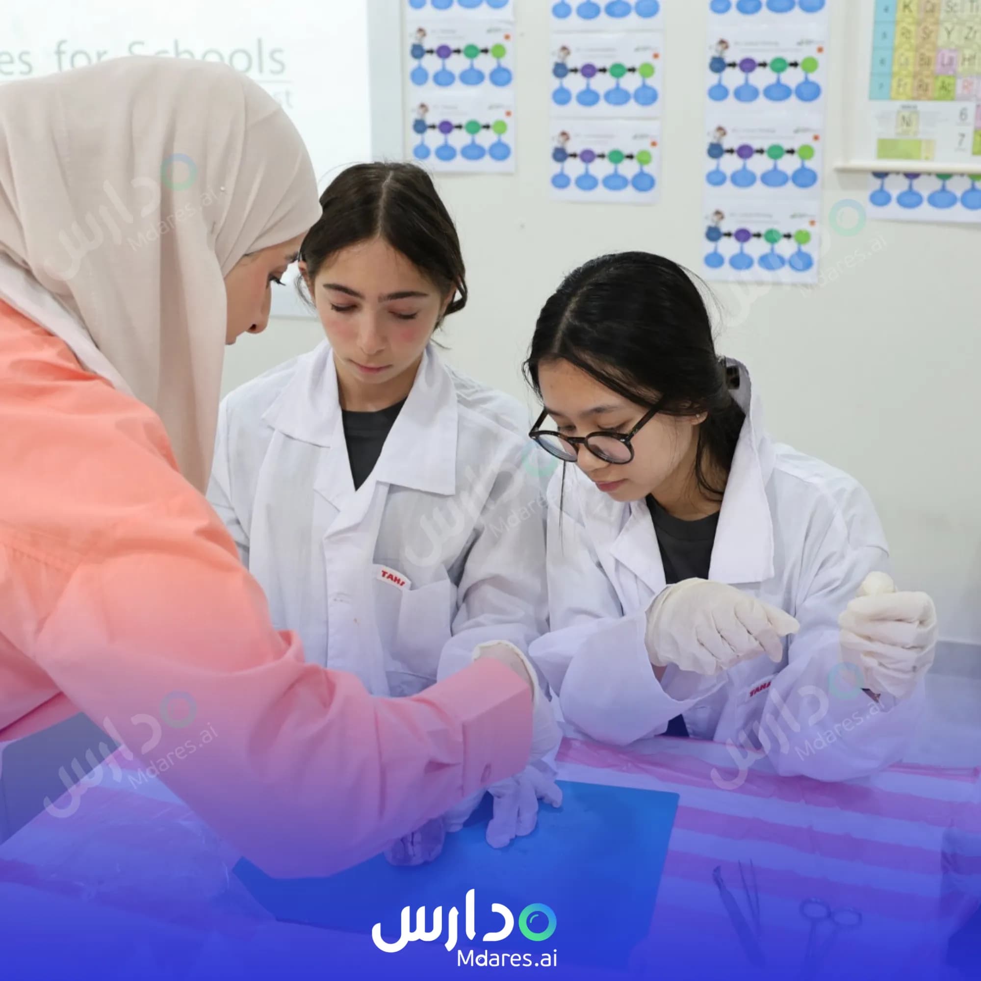 مواعيد Jumeira Baccalaureate School Dubai