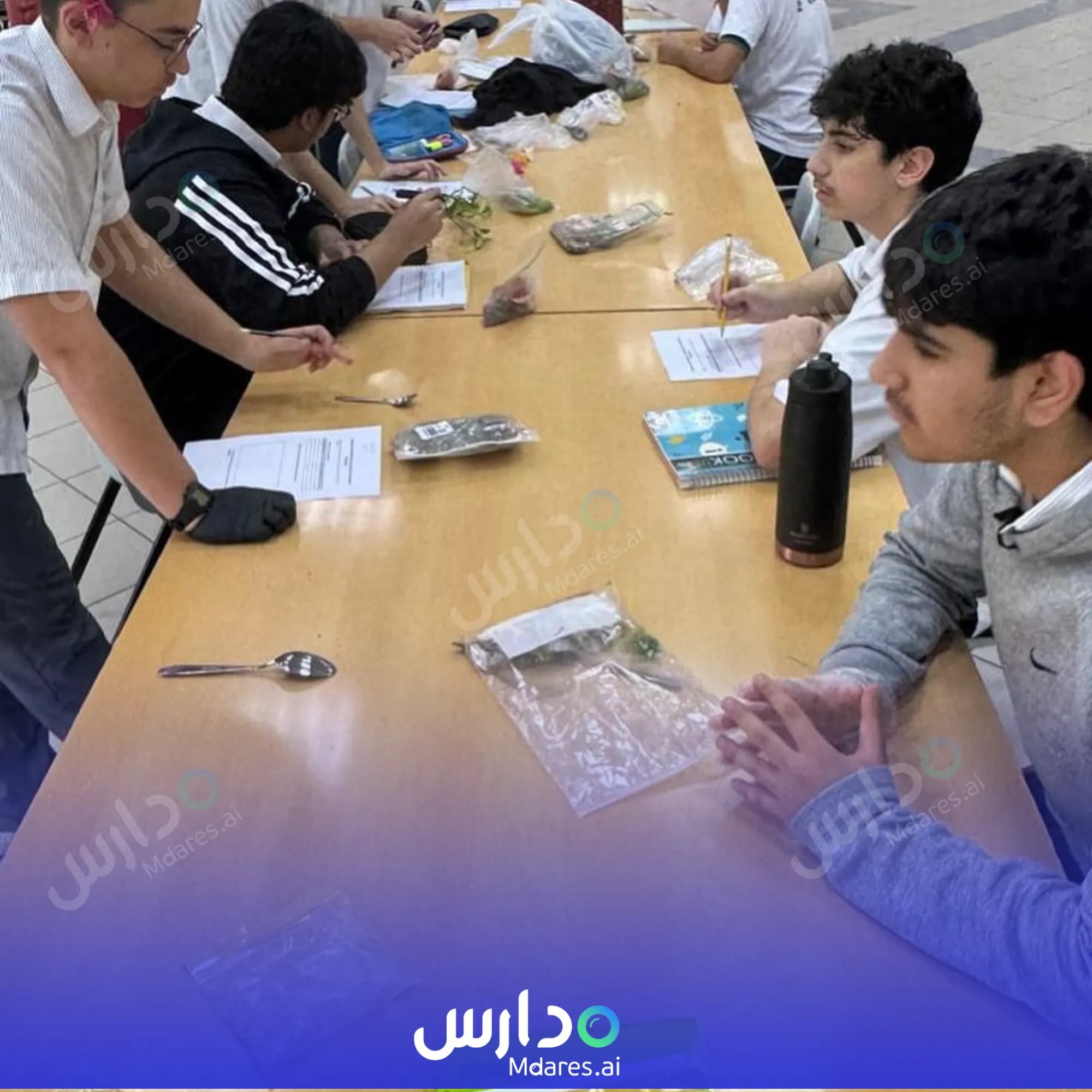 مواعيد Dubai International Private School Dubai
