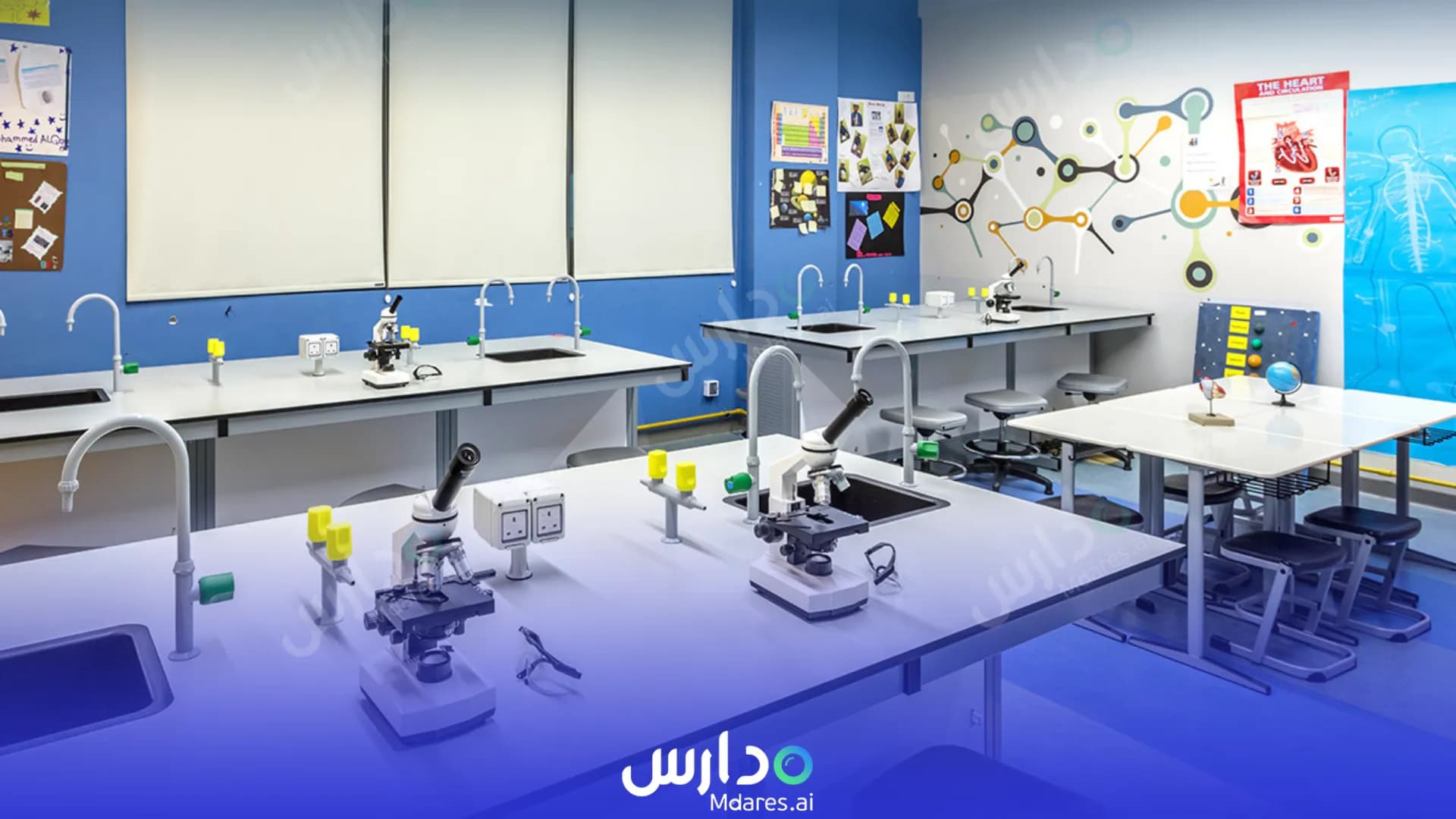 عنوان International School of Creative Science Dubai