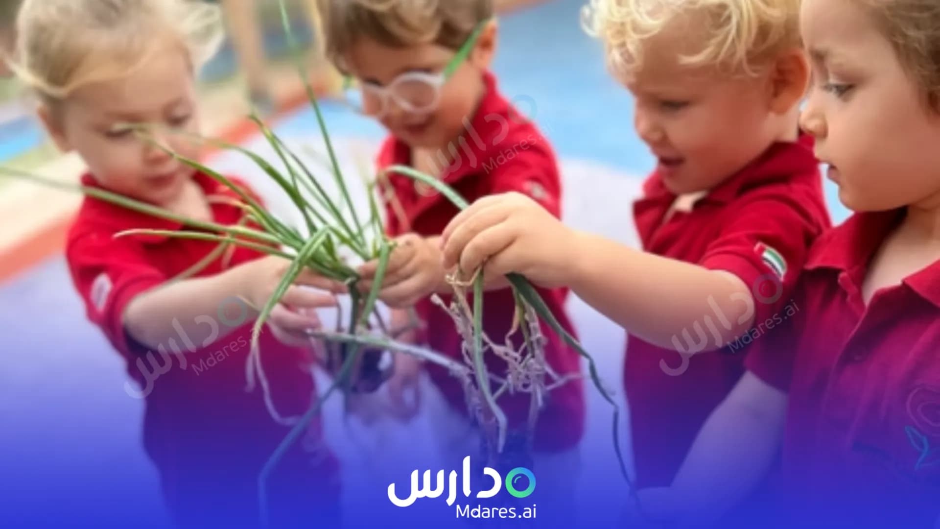 مواعيد British Rose Nursery Dubai Dubai
