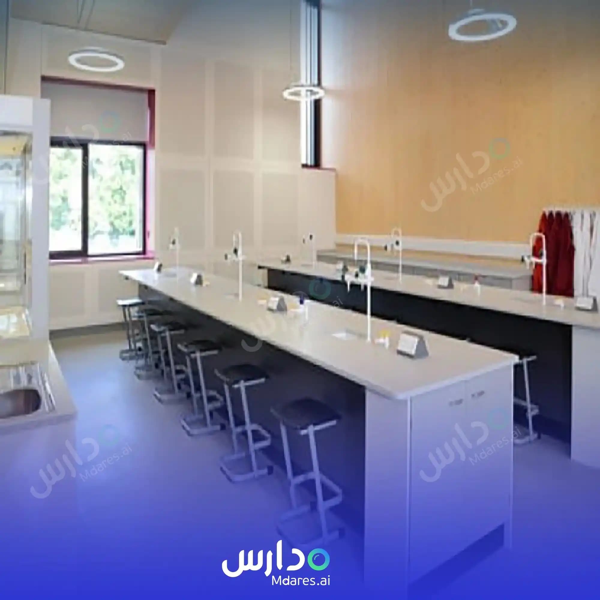 مواعيد Childhood Steps Kindergarten National Schools Riyadh