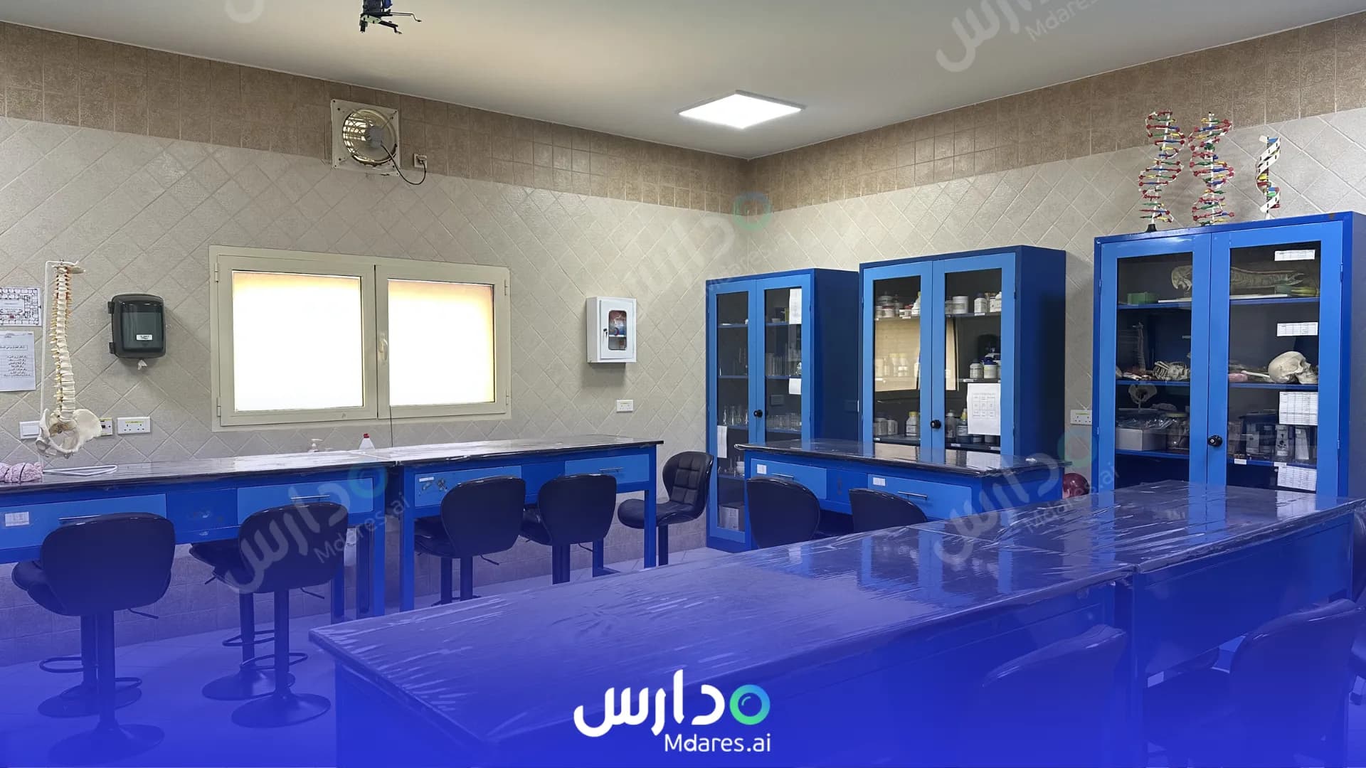 عنوان Creativity Private Schools Jeddah