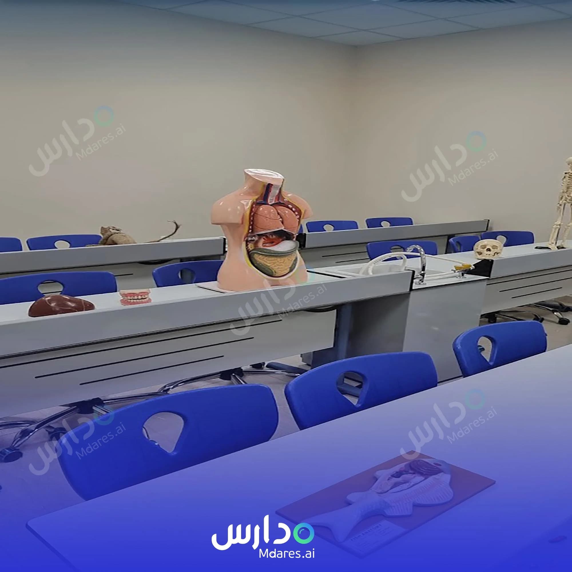 موقع Al Gharaa International Schools Madinah