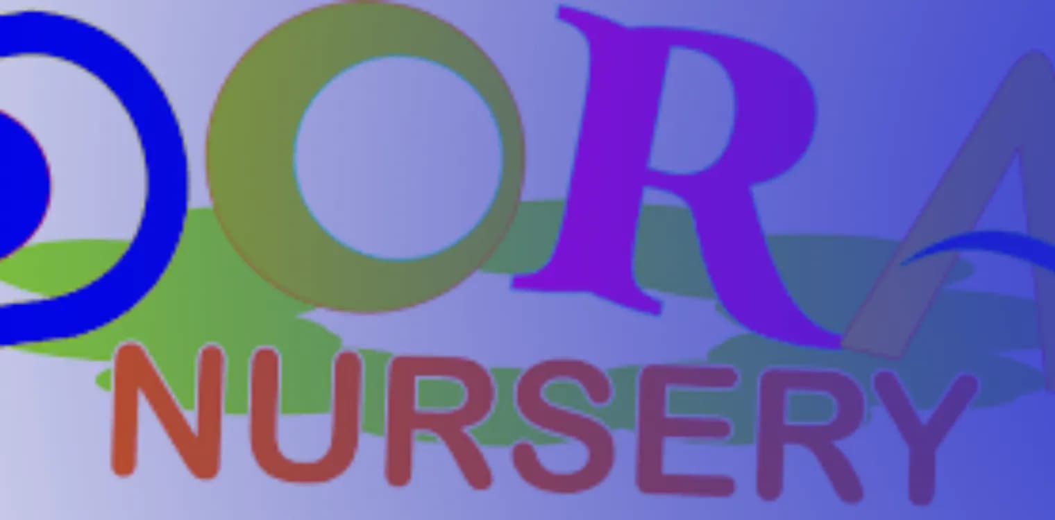 Dora Nursery