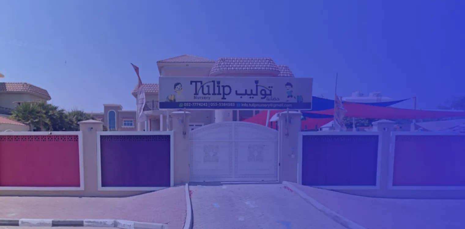 Tulip Nursery