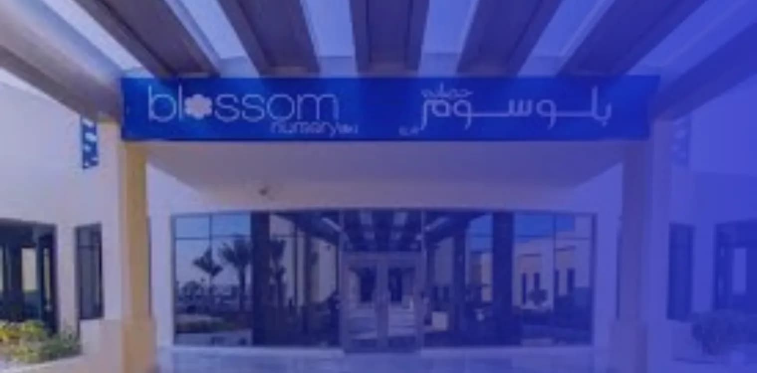 Blossom Nursery (Blossom Early Learning Centre)