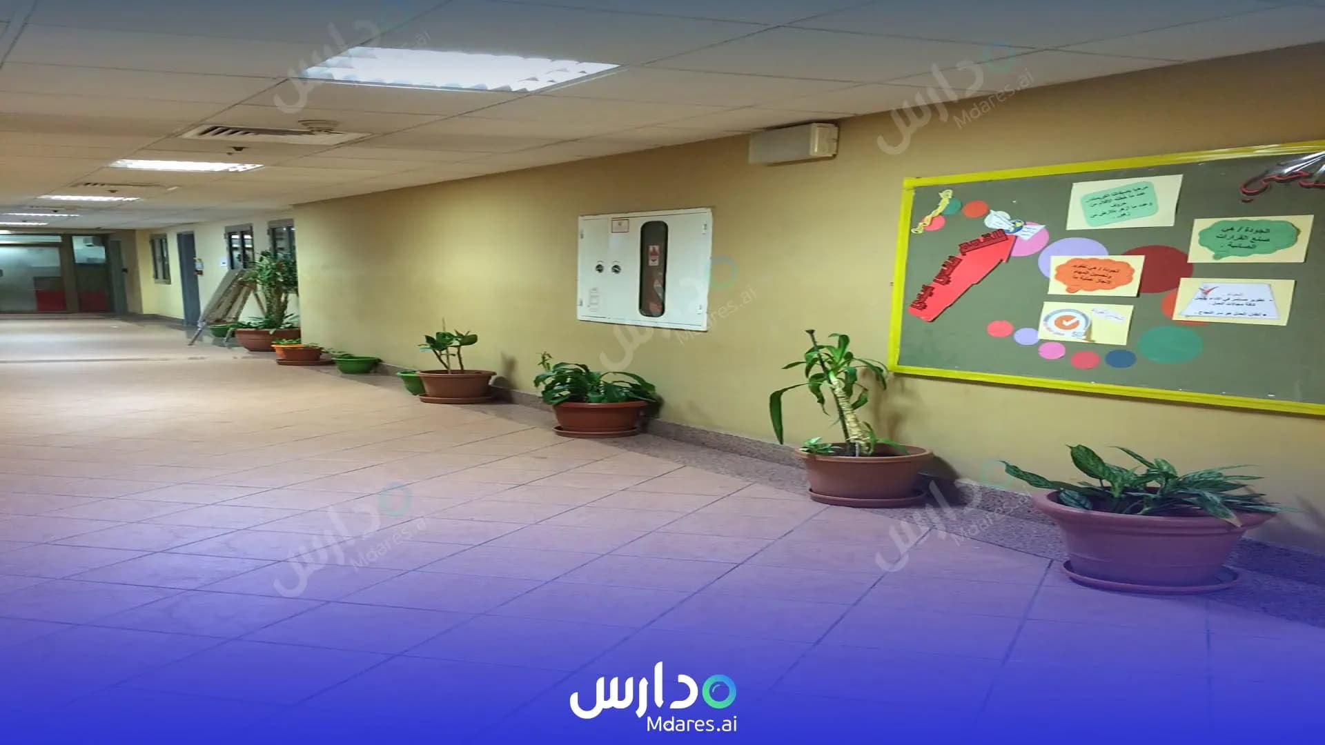 رسوم Al Bayan Model National Schools For Girls Jeddah
