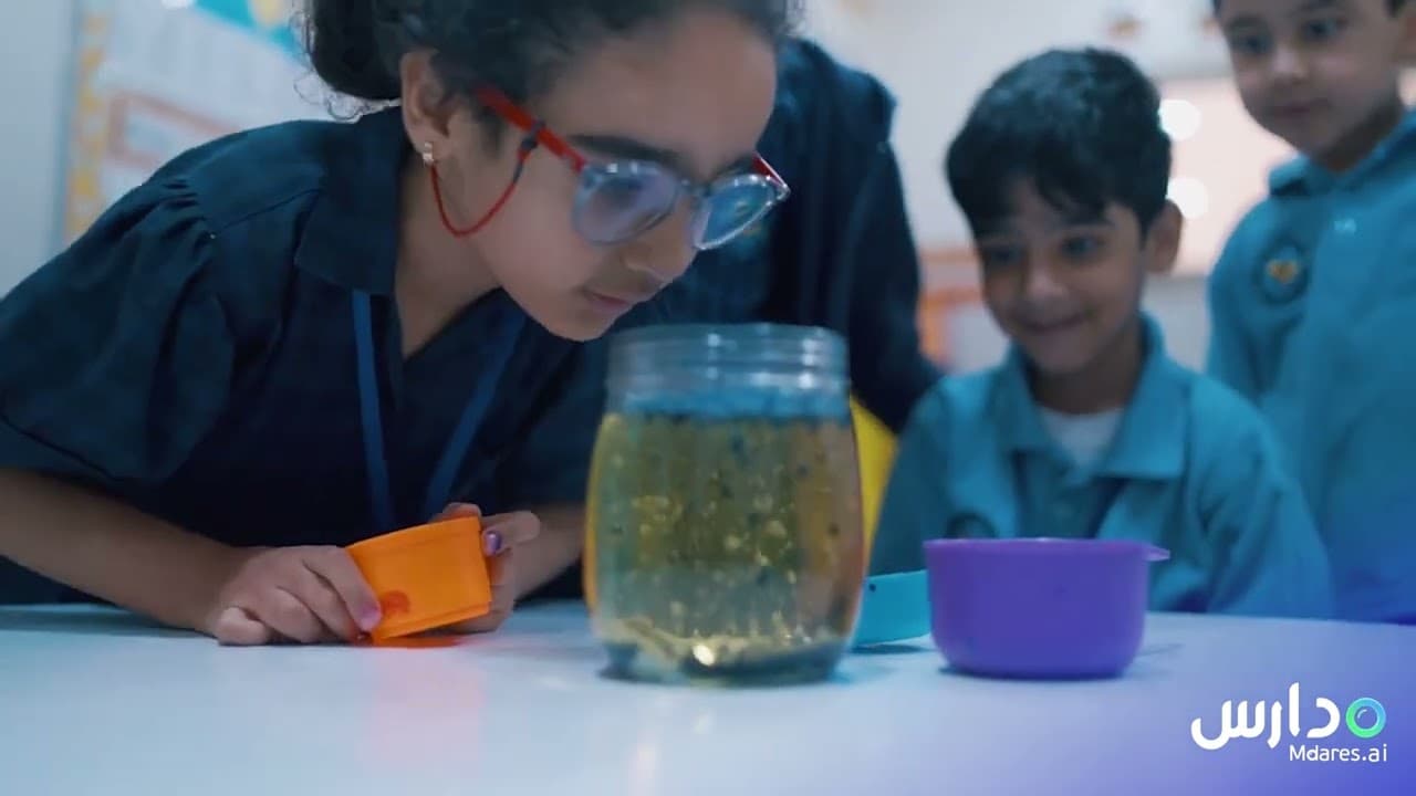 New World International School