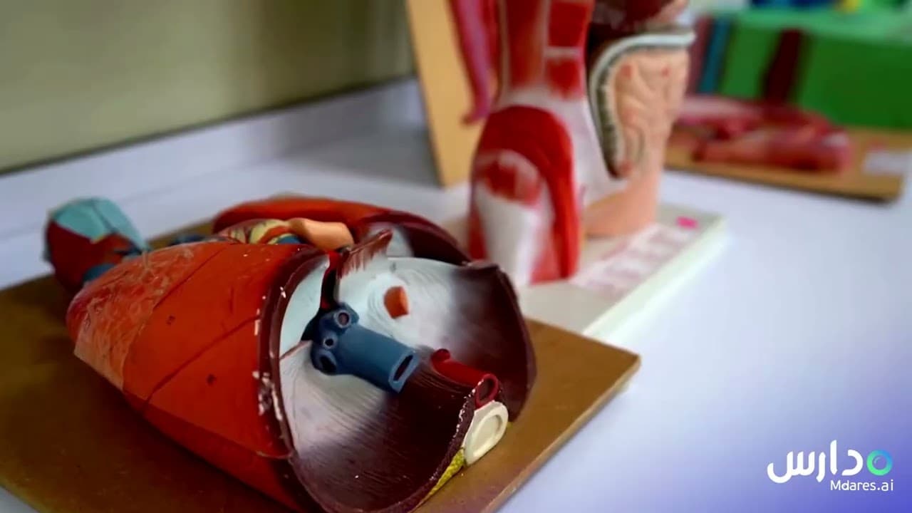 مدارس الأندلس الخاصة