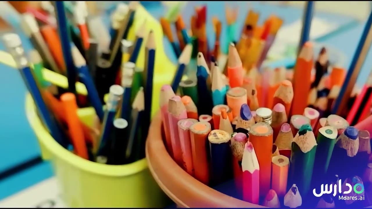 North American International School