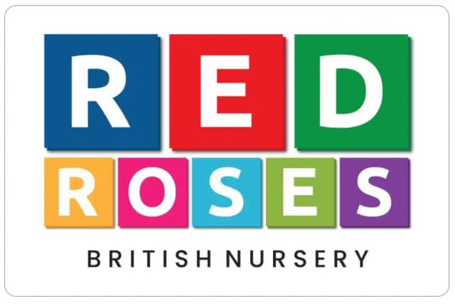 Red Roses British Nursery Red Roses British Nursery