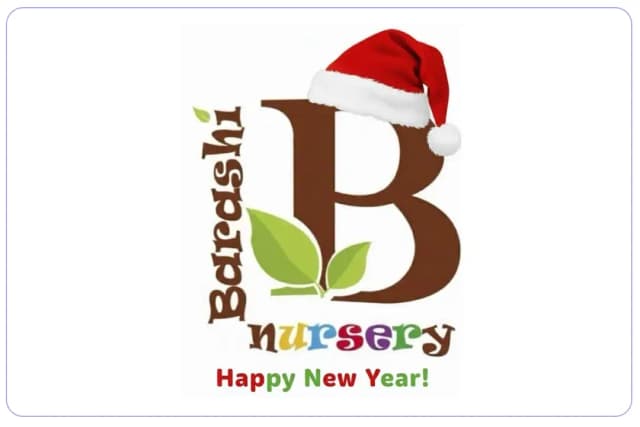 Brashi Nursery Brashi Nursery