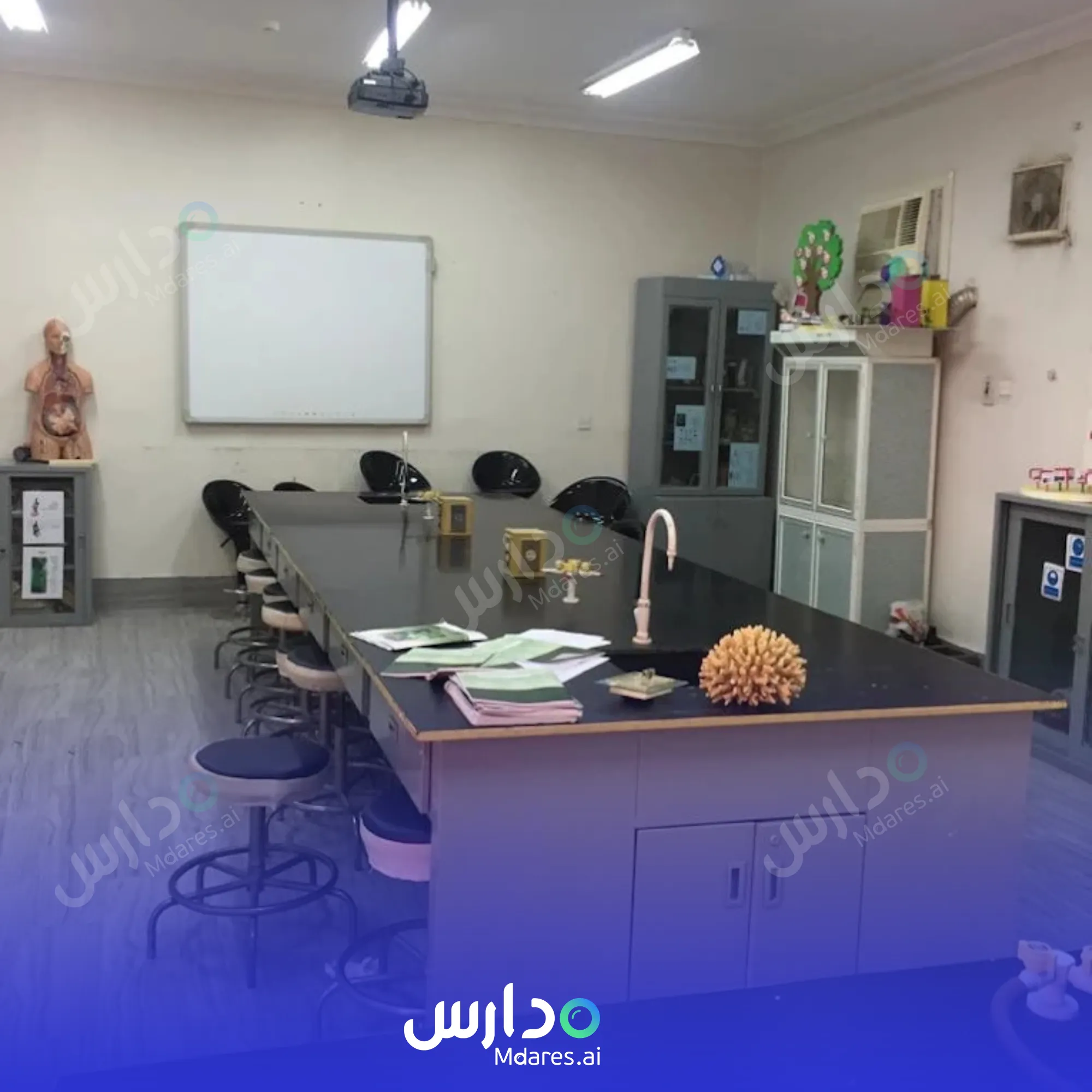 عنوان مدارس البراعم الخاصة العالمية جدة